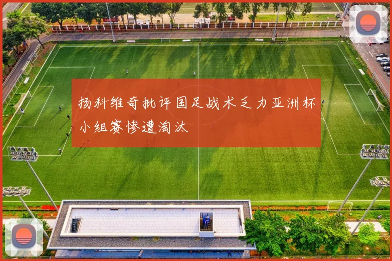 扬科维奇批评国足战术乏力亚洲杯小组赛惨遭淘汰