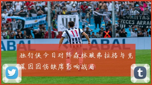独行侠今日对阵森林狼弗拉格与克莱因因伤缺席影响战局